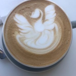 Meet your Posher, Irene